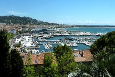 Cannes becomes the latest European destination to crack down on tourism with 'drastic' cruise ship curbs