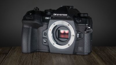 OM System has used 20MP sensors for years, but is a new high-res version coming? I sat down with OM execs to ask my biggest questions on sensor development