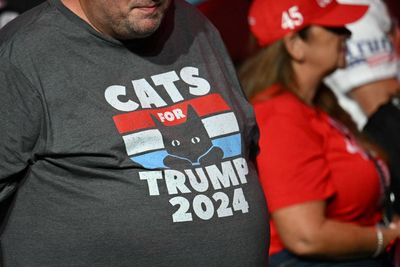 Tariffs got claws: Cost of cat food set to skyrocket under Trump’s import plan