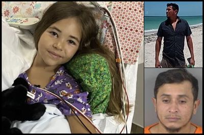 Florida Man Rescued 9-Year-Old Shark Attack Victim. Now He's Facing Deportation