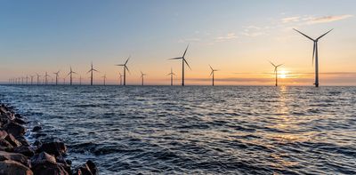 Offshore wind in the Mediterranean: renewables can, and must, protect biodiversity – here’s how
