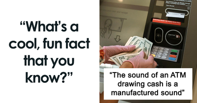 Someone Asked, ‘What’s A Cool Fun Fact That You Know?’, 23 People Delivered