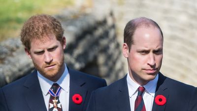 Royal experts claim there’s ‘lingering resentment’ between Prince Harry and William as the Duke of Sussex now leads ‘meaningless life’