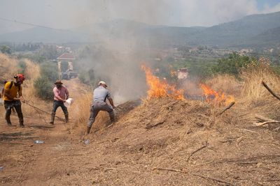 Europe heatwave: Spain summer heat breaks records as 50,000 flee Turkey wildfires