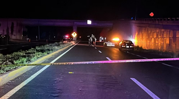 More Than 30 People Killed in Less Than 48 Hours as Sinaloa Cartel Violence Surges