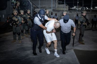 Trump’s deal that got migrants shipped to notorious El Salvador prison is only making MS-13 gang stronger: report