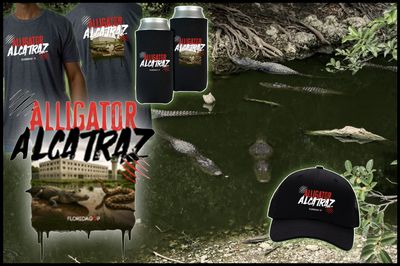 Florida GOP Drops 'Sick' Alligator Alcatraz Merch to Flood of Backlash: 'Disgusting and Inexcusable'