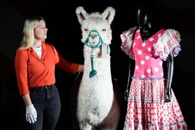 Costumes, props and ‘llama’ from Monty Python’s final live show to be auctioned