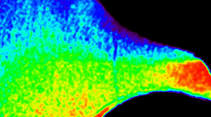 'Never been seen before': First images from new ISS solar telescope reveal subtle 'fluctuations' in sun's outer atmosphere