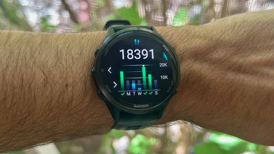 Here's everything Garmin will and won't share with Google Health Connect