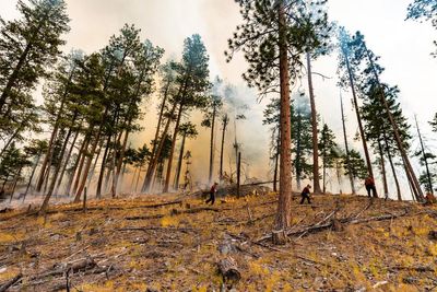 Chase Fire Prompts Evacuation Call: How Big Is the Wildfire and What Do We Know So Far?