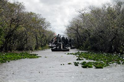 Where Is Alligator Alcatraz? Size, Facilities And Why Are Environmentalists Opposing Construction Of ICE Detention Centre?