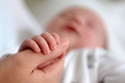 The surprising demographic behind the first lift in birth rate in years