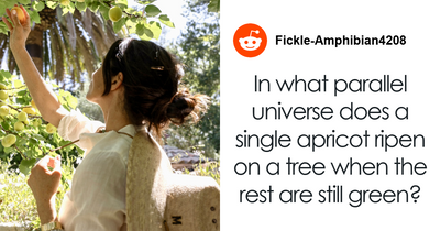 “What A Fraud!”: Meghan Markle’s “Embarrassing” Fruit-Picking Photo Ignites Wild Accusations