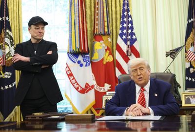 Trump won't rule out deporting Tesla CEO Elon Musk: 'We'll take a look'