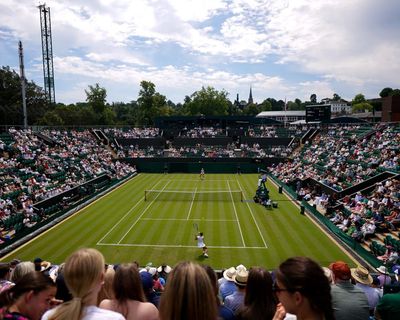 Wimbledon umpire takes action after player complains of ‘dangerous’ spectator