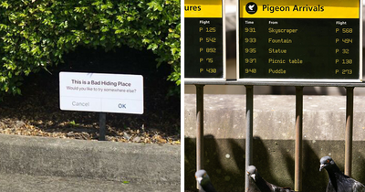 Artist Places Funny Signs In His City And They Look Like Art Installations (27 Pics)