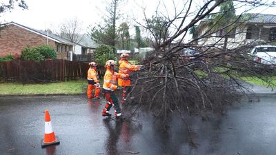 'It's pretty wild': evacuations as storm wreaks havoc