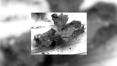 'Like finding a tropical seed in Arctic ice': How a surprise mineral could change the history of asteroid Ryugu
