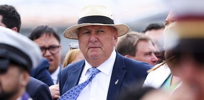 Memo to Shane Jones: what if NZ needs more regional government, not less?