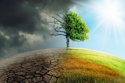 'Spotlight On Canada': Deep Sky's $40M DAC Hub Backed By Bill Gates Draws Global Carbon Tech Surge After Trump Fuels U.S. Climate Uncertainty