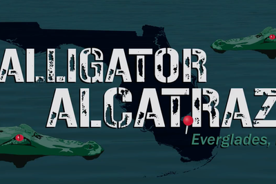 MAGA star skewered for gleefully promoting ‘official Alligator Alcatraz merch’: ‘The banality of evil’