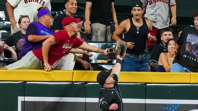 Diamondbacks Ban Season-Ticket Holder for Long History of Fan Interference Incidents
