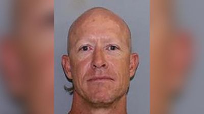 Inmate found hiding in bush camp after tractor escape