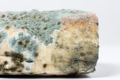 7 Grocery Items That Are No Longer Safe to Stockpile Long-Term