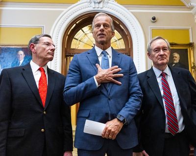 Trump news at a glance: a senator quits, the ‘big beautiful bill’ loses its name – but senate still passes Trump’s megabill