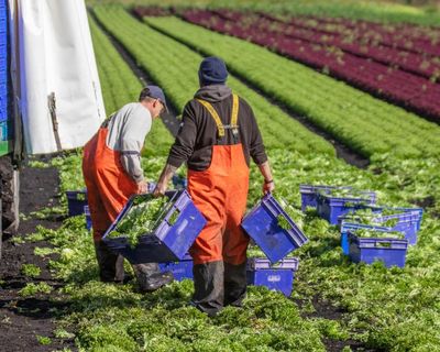 More than 80% of UK farmers worried about climate crisis harming livelihood, study finds