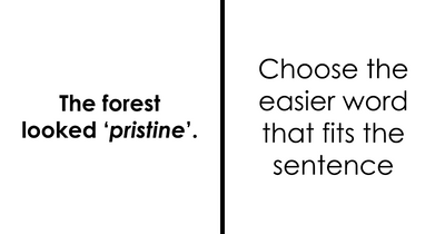 “Think You’re Good With Words?”: Try To Simplify 29 Fancy Words In This Vocabulary Challenge