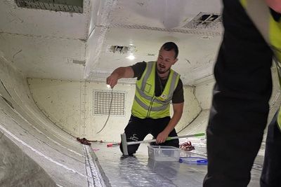 Slithering stowaway holds up Australian domestic flight