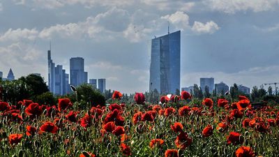 Eurozone unemployment ticks up modestly as tariff uncertainty lingers