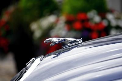 Jaguar Sales Decline By A Whopping 97% In Europe After 'Woke' Ad Allegedly Drives Loyal Buyers Away