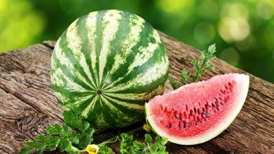 How to grow watermelons vertically in small garden spaces – 4 key steps to get right for fantastic fruits
