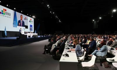 Public Or Private? Funding Debate Splits Reeling Aid Sector