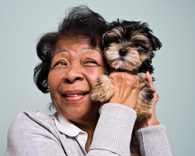 People aged 60 or over: tell us about your pets and what they mean to you
