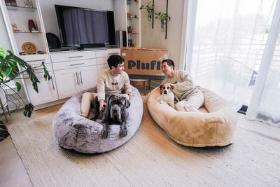 A human dog bed was a surprise start-up hit – now Trump’s tariffs threaten their business