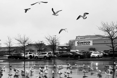 Costco's New 'VIP Hour' Gives Executive Members Early Access—Is It Worth Upgrading Your Membership?
