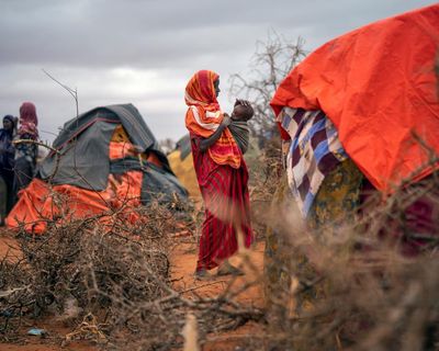 Droughts worldwide pushing tens of millions towards starvation, says report
