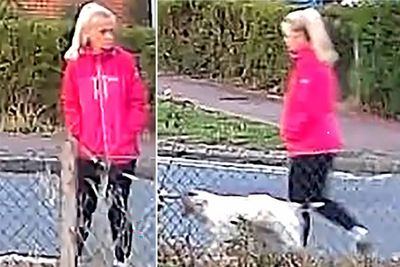 Man accused of dog walker murder was jailed for attack on pensioner – court