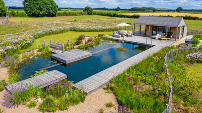 5 Trends for Home Swimming Pools That Make for Cool Dips, but Even Cooler Landscape Design