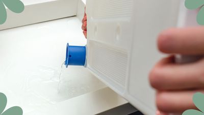 How to reuse tumble dryer water around the house, as recommended by an appliance expert