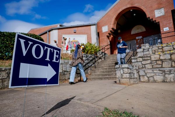 Staunch election denier appointed to Georgia county’s board of elections