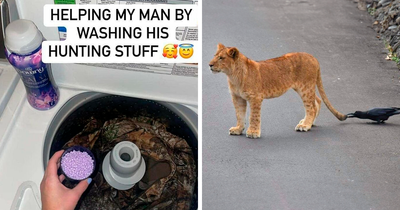 “Photos Taken Before Disaster”: 43 Pics That Foreshadow Unfortunate Events