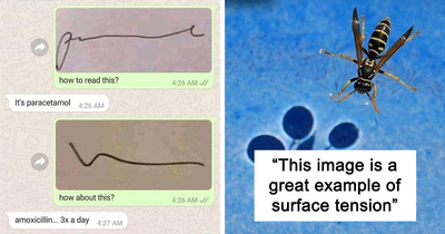 49 Of The Cleverest Science Memes That Perfectly Blend Humor With Knowledge