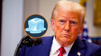 ‘I wanted to do something to fight back’: New ICEBlock app tells you how to dodge ICE goons, MAGA hates it