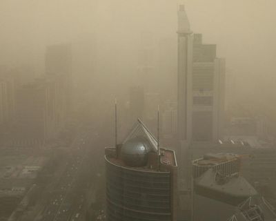 Air pollution linked to lung cancer-driving DNA mutations, study finds