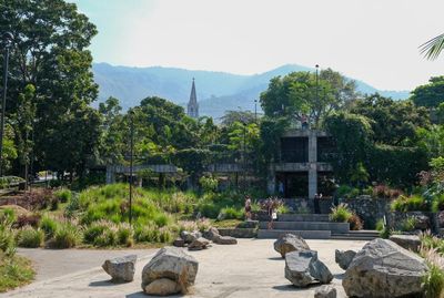 The enchanted car park: how a ruined multistorey became a garden paradise loved by lizards and dog-walkers